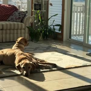 Meet your Posher, Kate